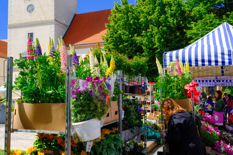 Májový kvet patrí medzi obľúbené podujatia | Foto: Trnavské rádio