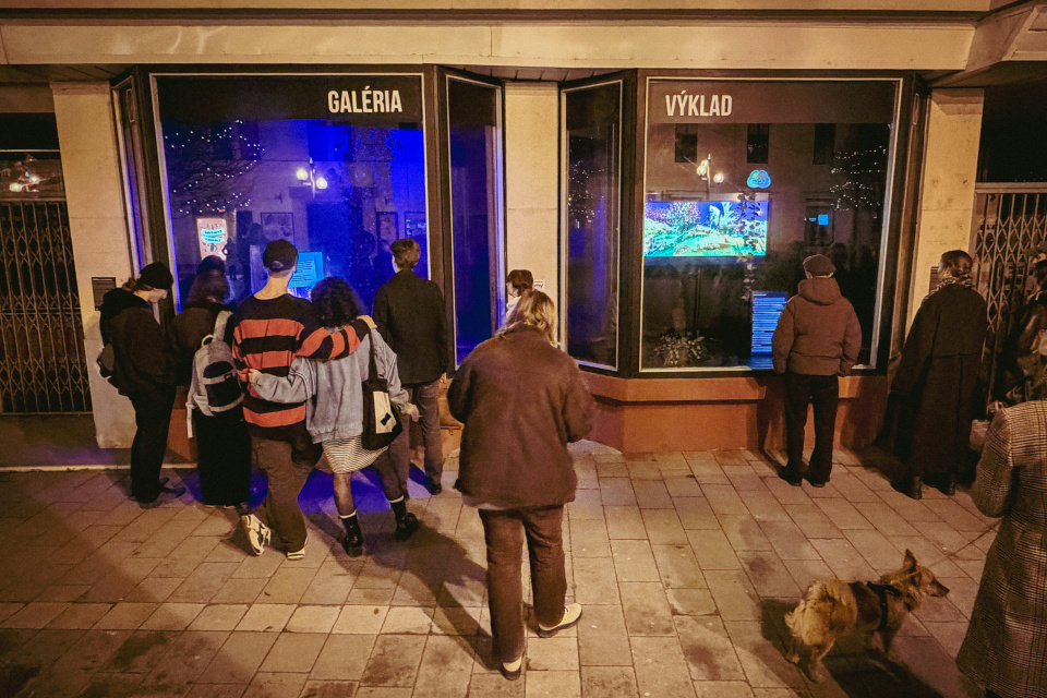 Snímka z vernisáže v Galérii Výklad. Lukáš Sobota - Panoráma ultra HD premium (13. 2. 2026). | Foto: dv