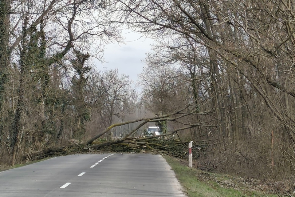 V úseku sa už tvoria kolóny. | Foto: Tímea Károlyi, Trnavsky Kraj Dopravny Servis