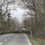 V úseku sa už tvoria kolóny. | Foto: Tímea Károlyi, Trnavsky Kraj Dopravny Servis
