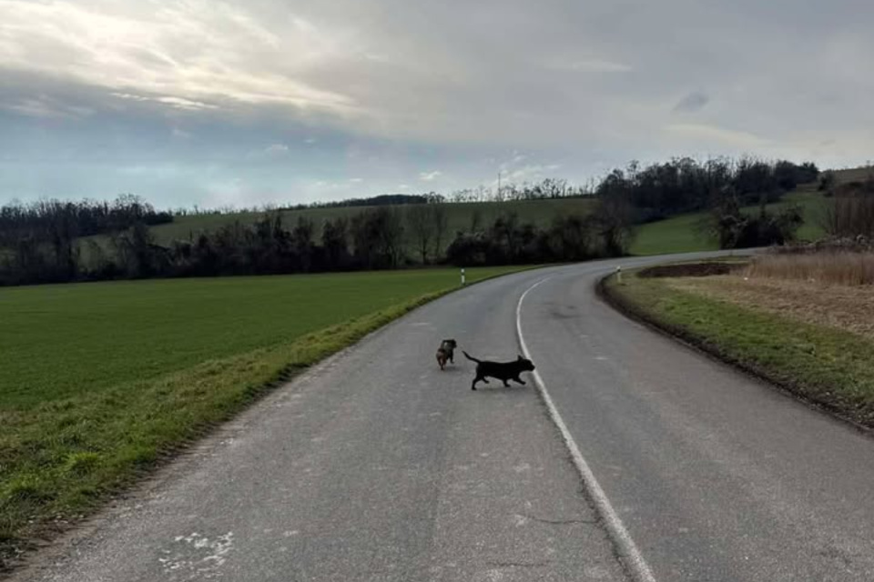 V úseku prosím zvýšte opatrnosť. | Foto: Som sa stratil Piešťany a okolie