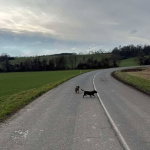 V úseku prosím zvýšte opatrnosť. | Foto: Som sa stratil Piešťany a okolie