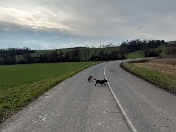 V úseku prosím zvýšte opatrnosť. | Foto: Som sa stratil Piešťany a okolie