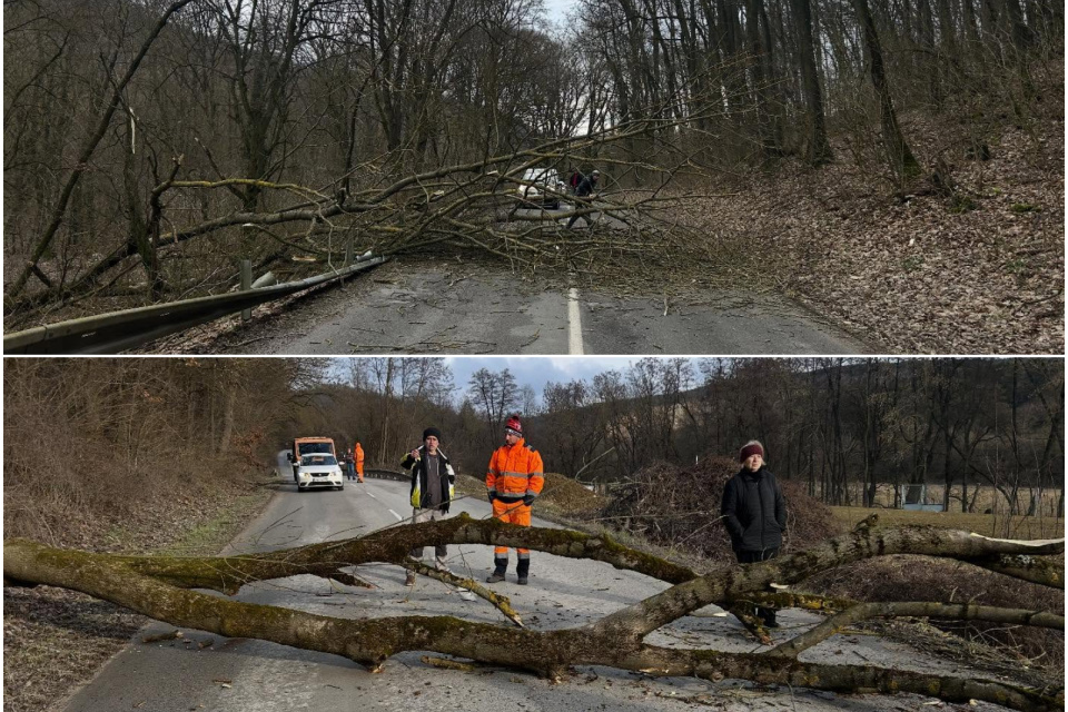 Konáre paralyzovali premávku. | Foto: Hasiči Dobrá Voda