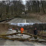 Konáre paralyzovali premávku. | Foto: Hasiči Dobrá Voda