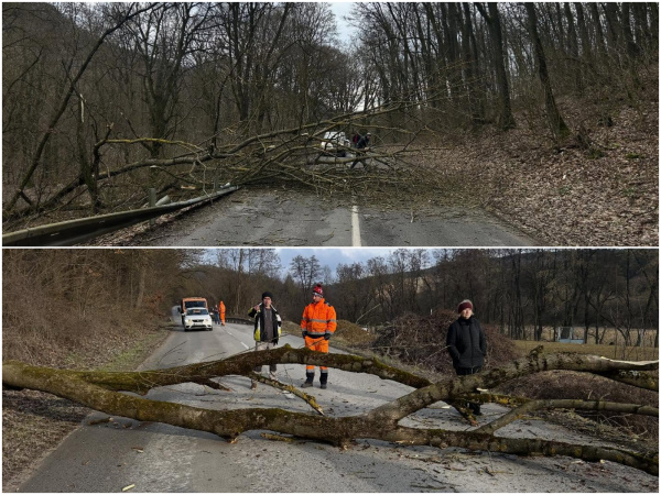 Konáre paralyzovali premávku. | Foto: Hasiči Dobrá Voda
