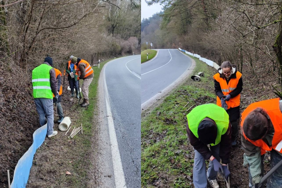 Dobrovoľníci a ochranári budujú zábrany na frekventovanej ceste na Záhorí | Zdroj: Správa CHKO Záhorie
