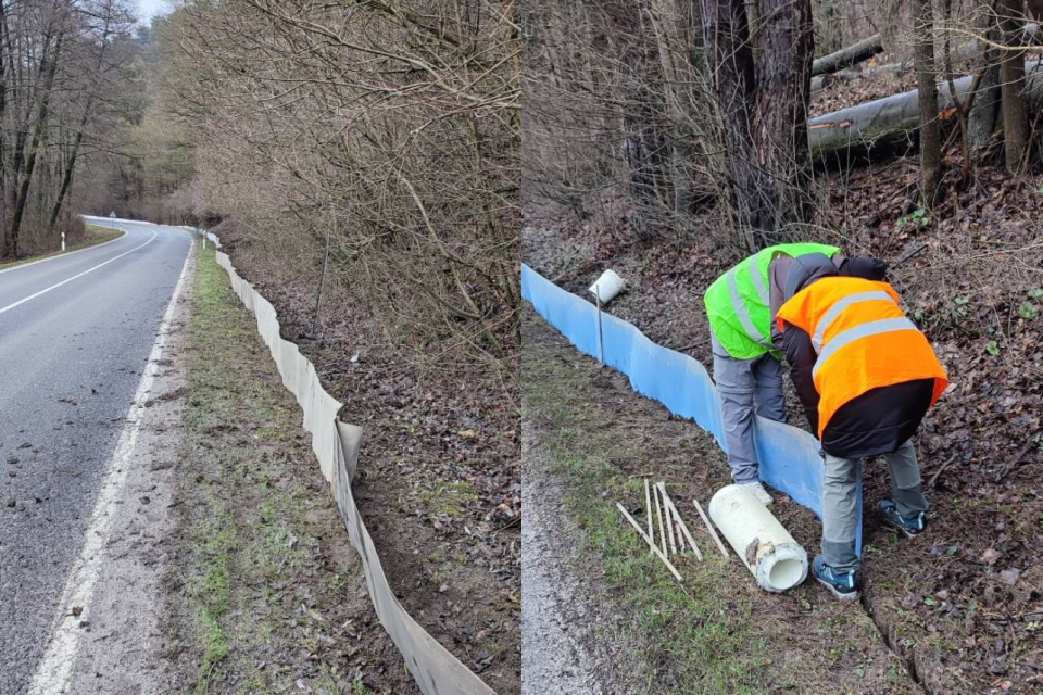 Zábrany vytvorené na ceste medzi Hradišťom pod Vrátnom a Brezovou pod Bradlom | Zdroj: Správa CHKO Záhorie