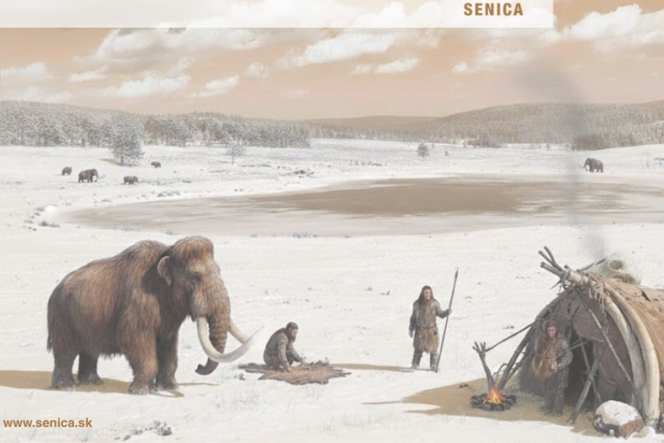 Okrem mamutov tu žili aj nosorožce srstnaté I Zdroj: Mesto Senica, AI