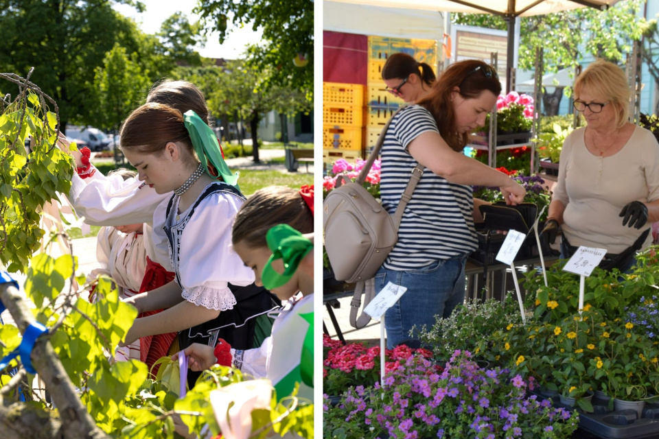 Každoročnou súčasťou Flora Festu je stavanie mája, tradícia nebude chýbať ani tento rok | Zdroj foto (Flora Fest 2025): seredskenoviny