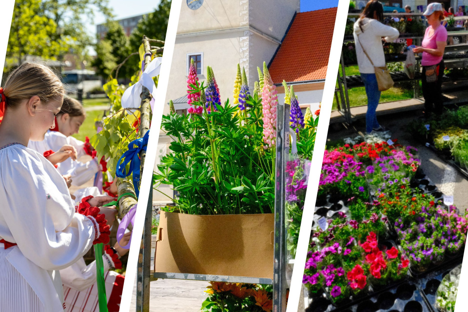 V apríli a v máji sa pripravte na kvetinové festivaly, ktoré zaplavia náš kraj | Zdroj foto: Sereď, Dušan Vančo