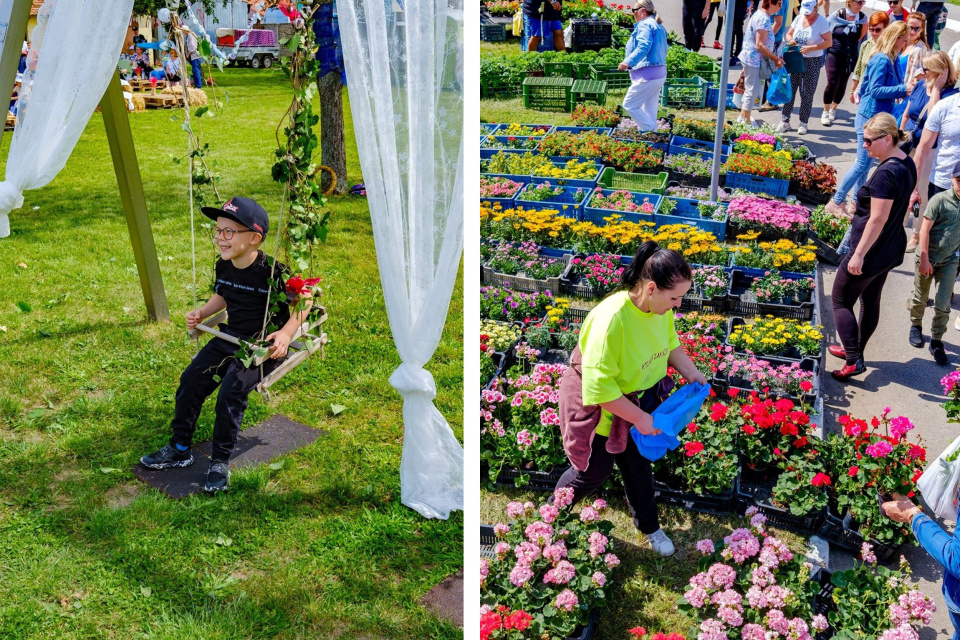 Výber kvetov, bohatý program a gastro zónu ponúknu Kvetinové dni v Kátove | Zdroj foto (Kvetinové dni, 2024): obec Kátov