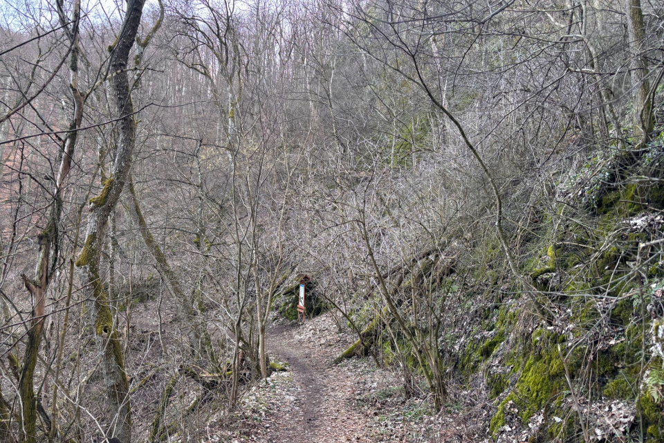 Nenáročná trasa k vodopádu | Foto: Zuzana Benková, Trnavské rádio