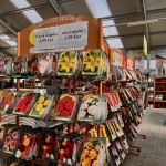 Na začiatoch sezóny sa pripravíte v trnavskom OAZISE I Zdroj: Trnavské rádio 