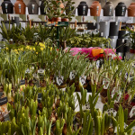 Sezóna už klope na dvere I Zdroj: Trnavské rádio 