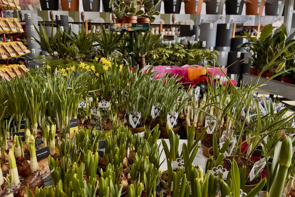 Sezóna už klope na dvere I Zdroj: Trnavské rádio 