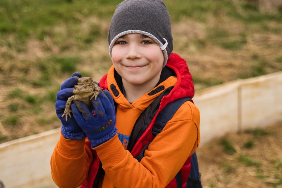 Vlani sa do záchrany ropúch zapojili aj deti | Zdroj: Rezort Piešťany