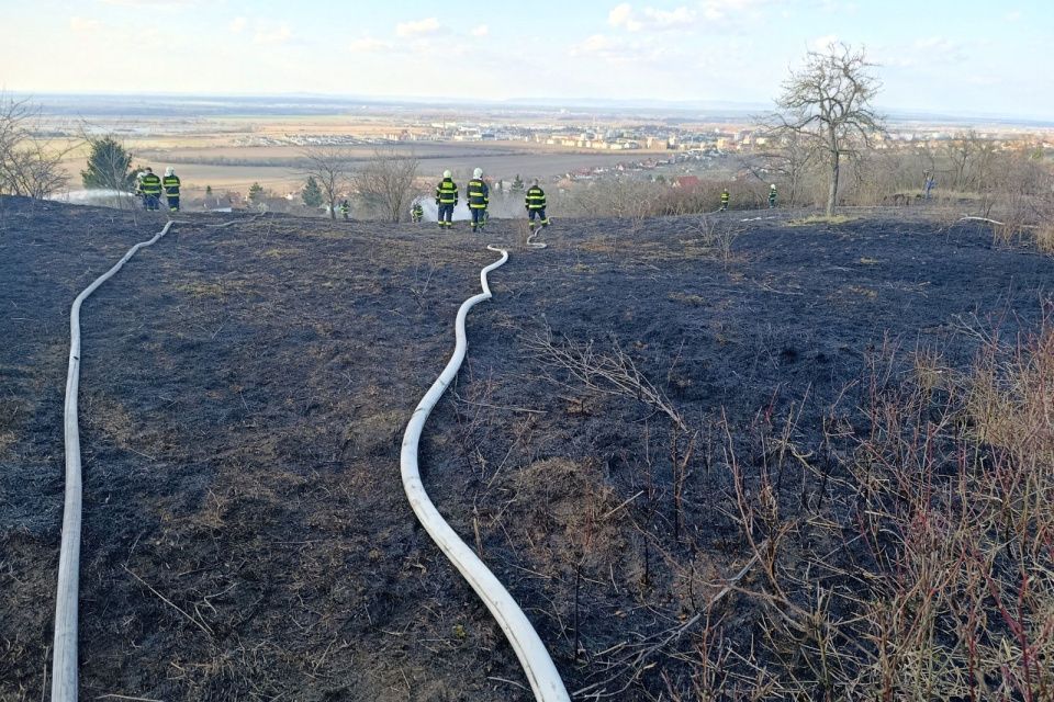 Vybudovali hadicové vedenie s nasadením špeciálnych vakov a minuli 40.000 litrov vody. | Foto: Hasiči Skalica