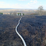 Vybudovali hadicové vedenie s nasadením špeciálnych vakov a minuli 40.000 litrov vody. | Foto: Hasiči Skalica