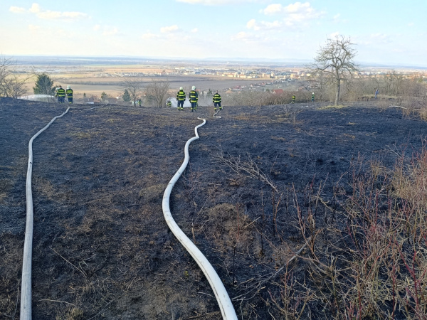 Vybudovali hadicové vedenie s nasadením špeciálnych vakov a minuli 40.000 litrov vody. | Foto: Hasiči Skalica