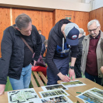 Miestny jednoznačne volajú po zeleni, a uprednostňujú návrhy, ktoré počítajú s výsadbou drevín a zelene | Zdroj: mesto Piešťany, TS 