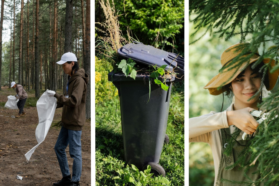 Nastal čas na veľké jarné upratovanie | Zdroj ilustr. obr.: Pixels
