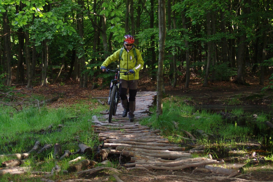Na ceste sa držte cyklistického značenie, určite sa nestratíte | Zdroj: Cykloportál, Štefánikova cyklomagistrála