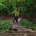 Na ceste sa držte cyklistického značenie, určite sa nestratíte | Zdroj: Cykloportál, Štefánikova cyklomagistrála