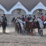 Akcia v žrebčíne v Kopčanoch | Zdroj: Kopčany