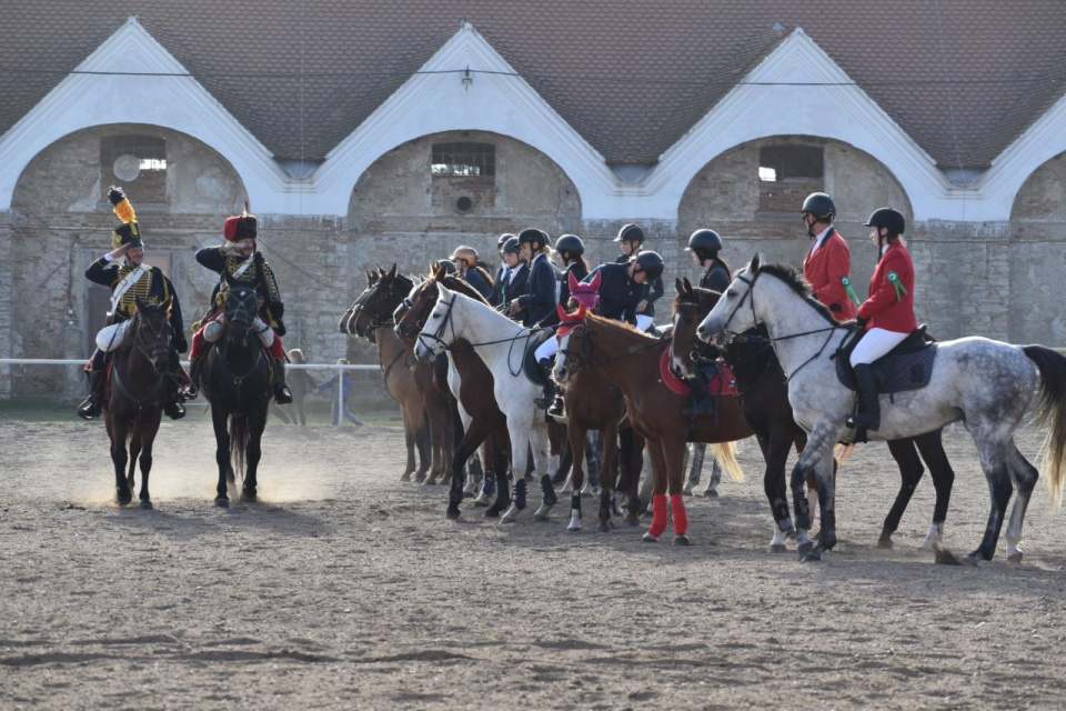 Akcia v žrebčíne v Kopčanoch | Zdroj: Kopčany