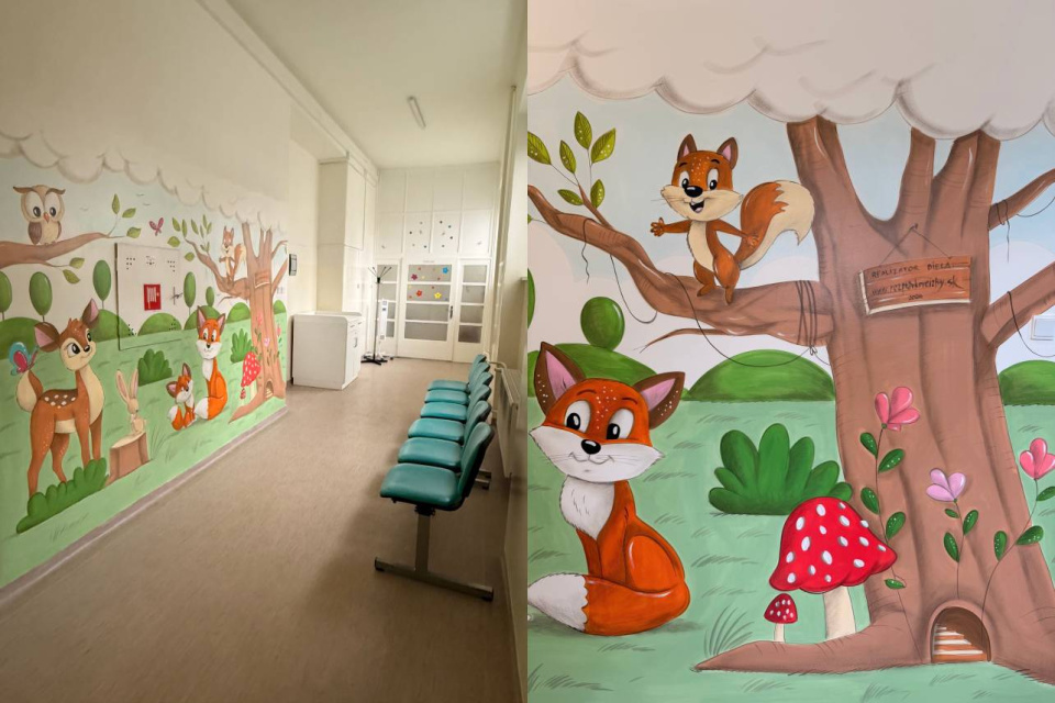 Vynovené priestory pediatrie | Zdroj: FNTT
