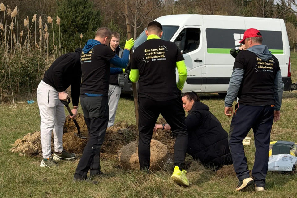 Fotografia zo sadenia nových stromov v Kamennom mlyne | Zdroj: TS