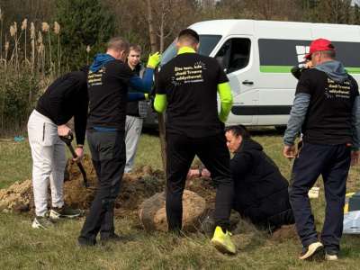 Fotografia zo sadenia nových stromov v Kamennom mlyne | Zdroj: TS
