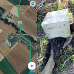 Takto sa poľovník vysporiadal s telom mačky. | Foto: Maps Google, Sloboda zvierat