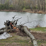 Rybári upozorňujú na potrebu udržiavať revíry čisté a bez odpadu. | Foto: Slovenský rybársky zväz, miestna organizácia Hlohovec