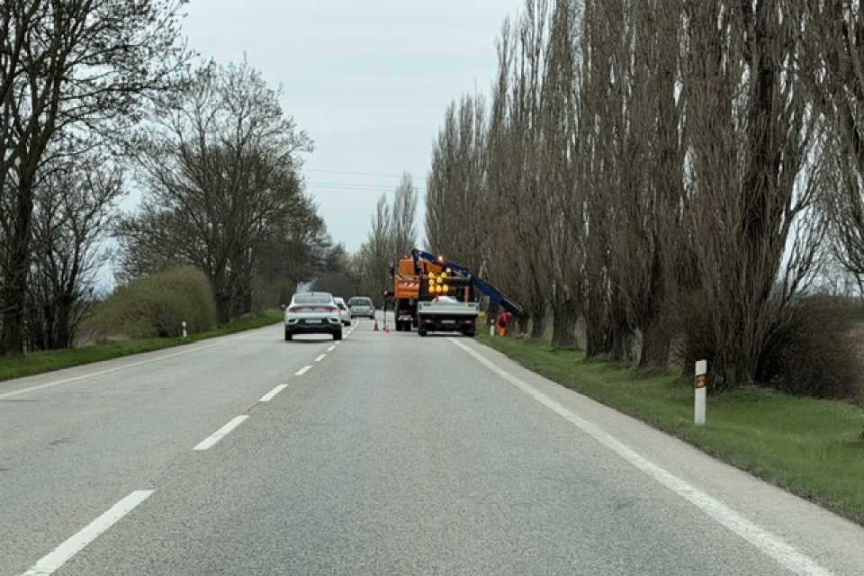 Orez stromov smerom na Bučany z Trnavy | Foto: Trnavské rádio