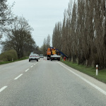 Orez stromov smerom na Bučany z Trnavy | Foto: Trnavské rádio