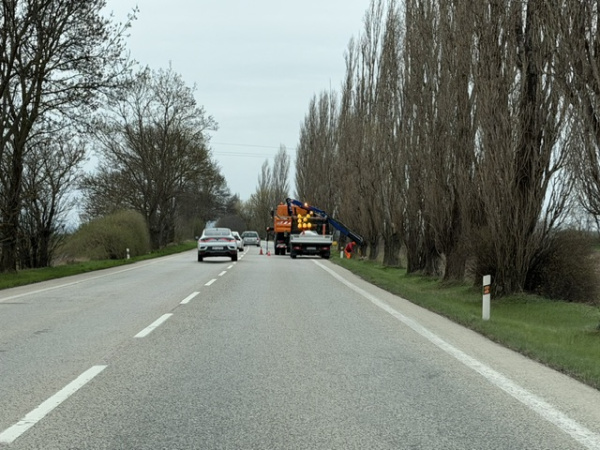 Orez stromov smerom na Bučany z Trnavy | Foto: Trnavské rádio