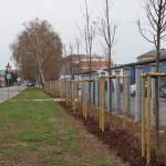 Súčasťou projektu bola aj výsadba stromov | Zdroj: TS mesta Senica