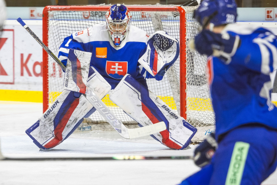 Zásah si v prvom zápase pripísal aj brankár Jakub Husár. Dva góly dal Max Melicherík. | Foto: SZĽH
