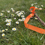 Umenie pletenia korbáčov sa odovzdáva z otca na syna | Foto: Michaela Martišíková, redakcia