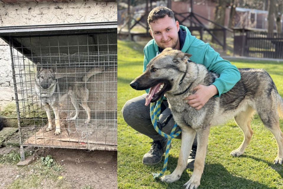 Z klietky sa dostal do dobrých rúk. | Foto: Sloboda zvierat