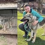 Z klietky sa dostal do dobrých rúk. | Foto: Sloboda zvierat