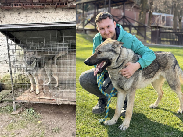 Z klietky sa dostal do dobrých rúk. | Foto: Sloboda zvierat