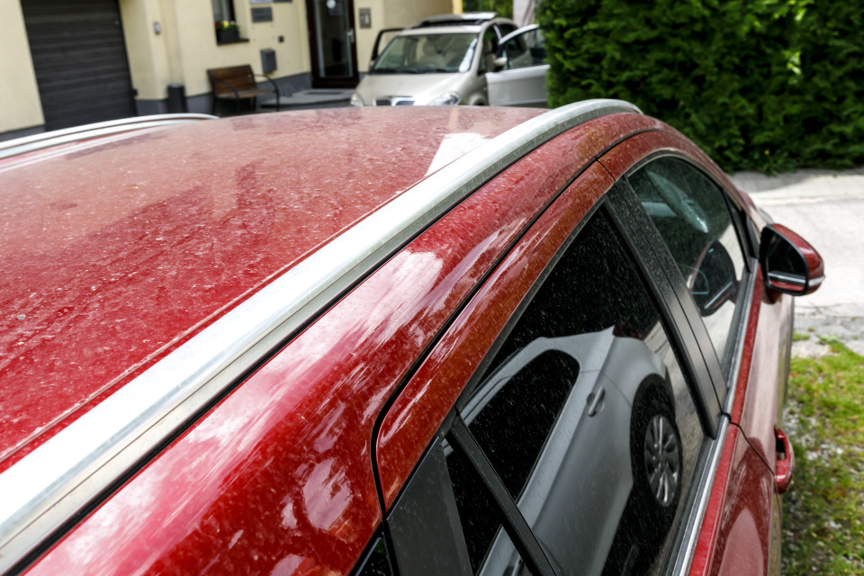 Saharský prach v Bratislave v roku 2024 | Zdroj: TASR