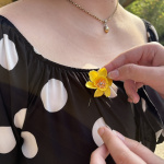 Na koho myslíte, keď si pripínate narcis? | Foto: Michaela Martišíková, redakcia