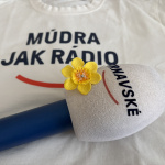 Narcis si pripíname aj v Trnavskom rádiu | Foto: Michaela Martišíková, redakcia