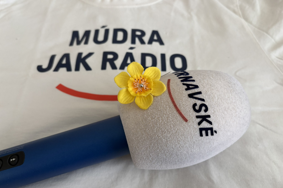 Narcis si pripíname aj v Trnavskom rádiu | Foto: Michaela Martišíková, redakcia