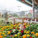 Na záhradné projekty sa vybavte v trnavskom HORNBACHu | Foto: PR