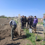Dobrovoľníci, ktorí pomáhali s výsadbou | Zdroj: Obec Brestovany